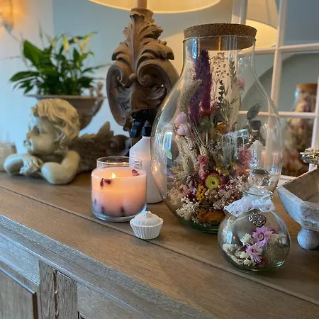 Maison Des Anges Bed & Breakfast Lessines