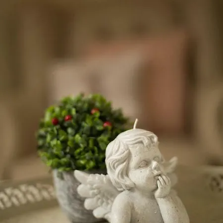 Maison Des Anges Bed & Breakfast Lessines